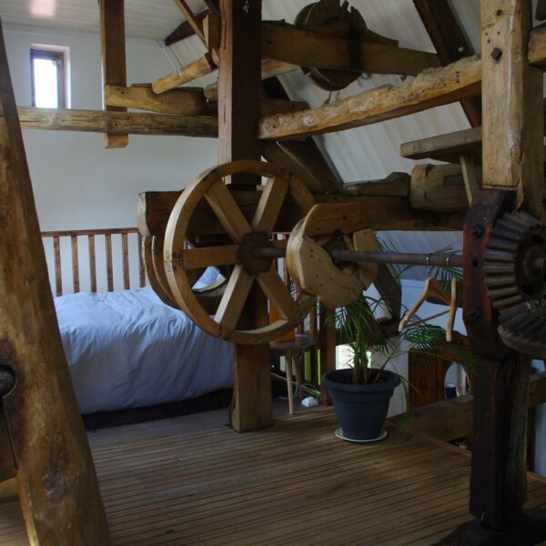 18953302_1483445445052257_1992359891125166644_o