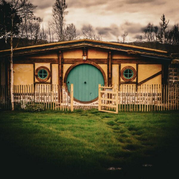 433124247_941908611274637_5623412893530220996_n